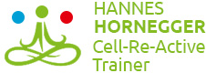 Holopathie Hannes Hornegger